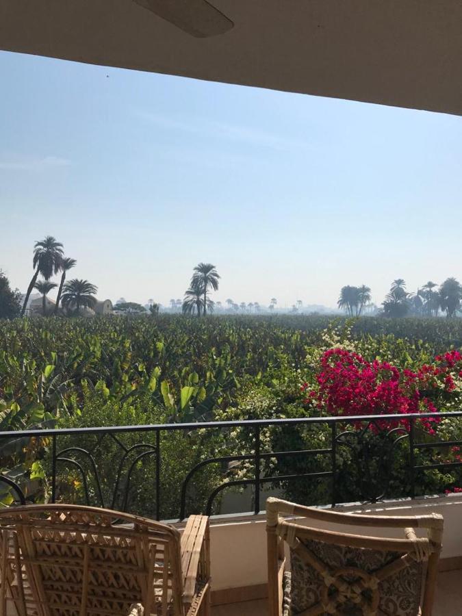 Villa Quiet Place Luxor Exteriör bild