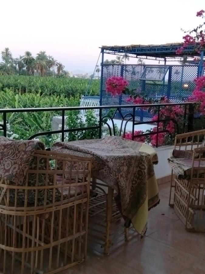Villa Quiet Place Luxor Exteriör bild