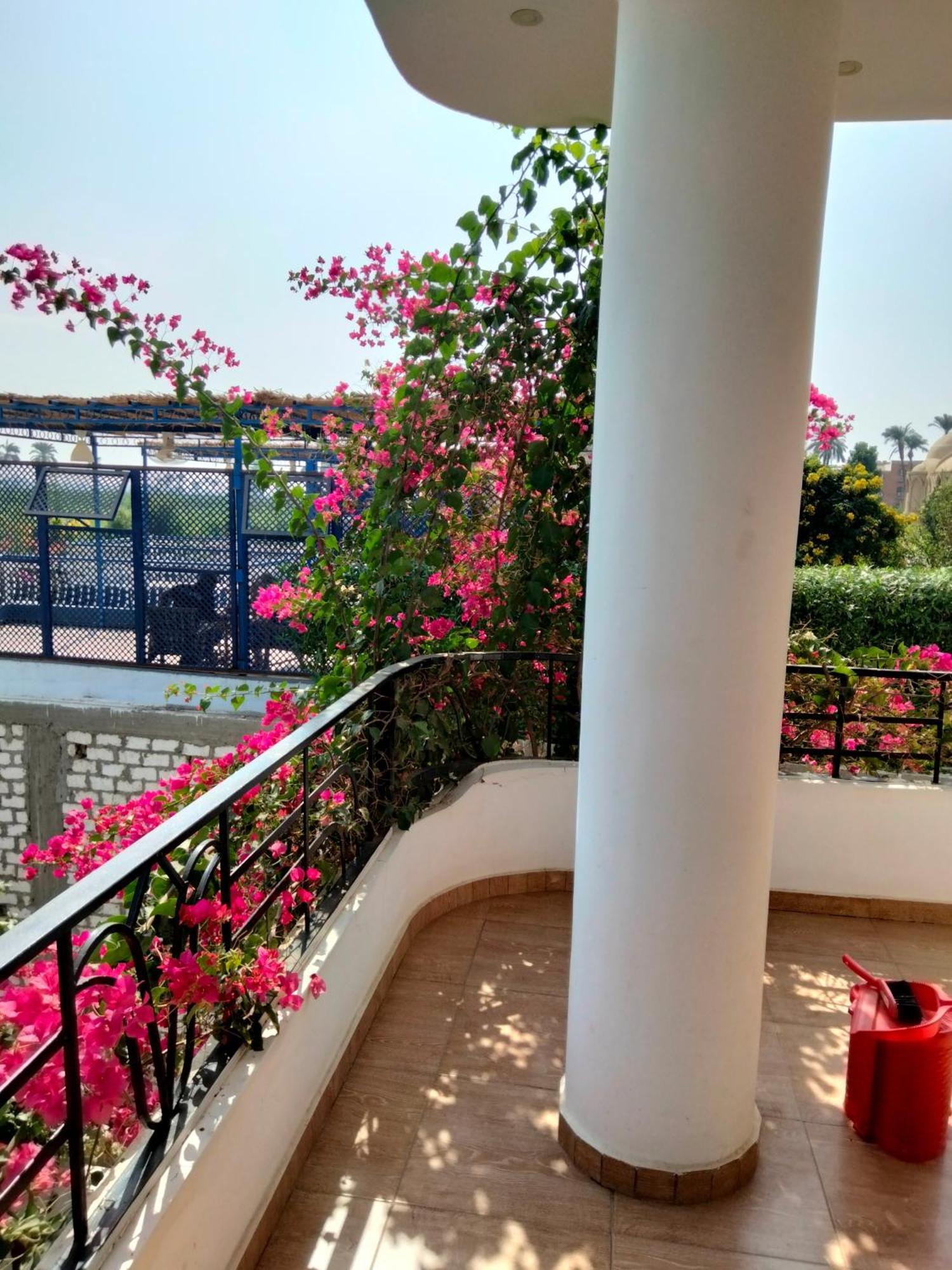 Villa Quiet Place Luxor Rum bild